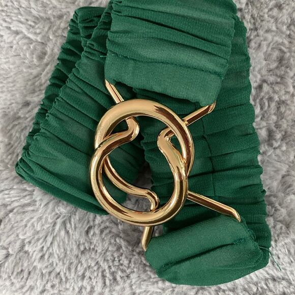 Green chiffon and Gold tone Stretch Belt with interlocking clasp - Picture 5 of 6